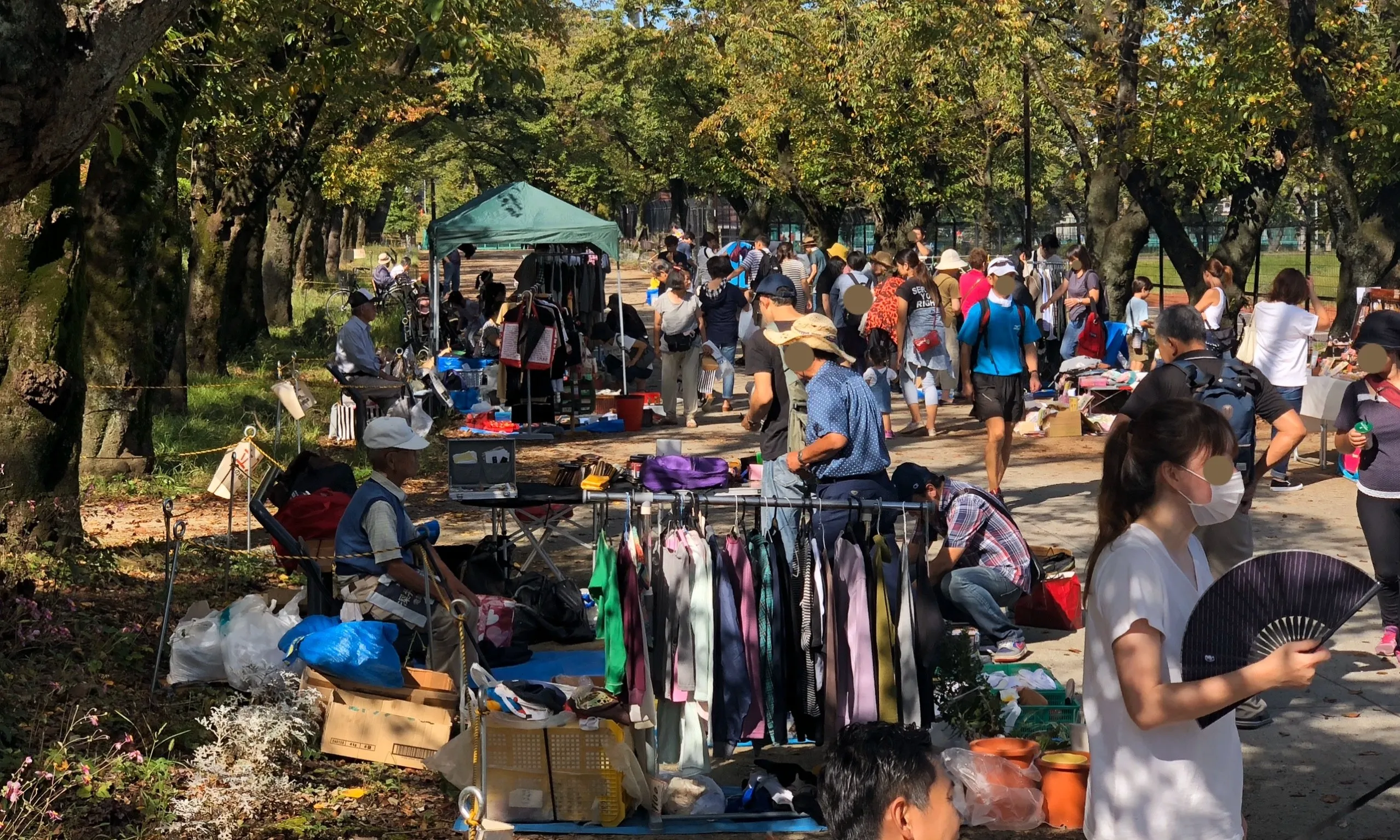 Fujimori park flea market